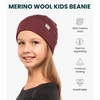 image:image100 Merino Wool Beanie Kids  Unisex Wool Cap 175um for Kids Toddler Hat  Soft NonItchy Breathable 175um Running Hat UV Protection OdorResistant MoistureWicking All Season 250 gsm Skull CapBurgundy